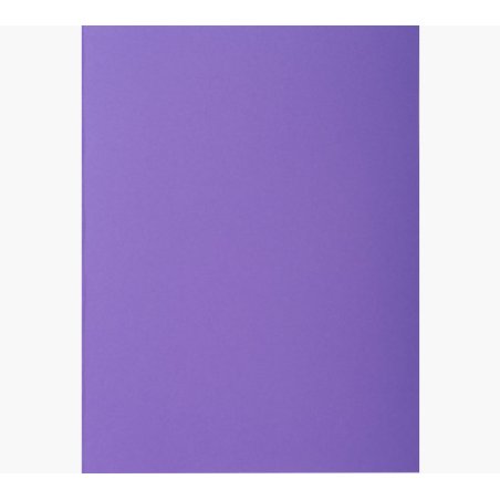 Exacompta 800008E fichier Carton Violet A4