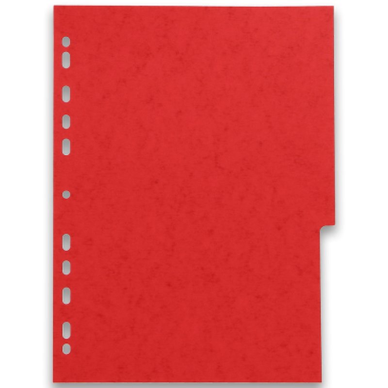 Oxford 100204950 intercalaire Carton Couleurs assorties 6 pièce(s)