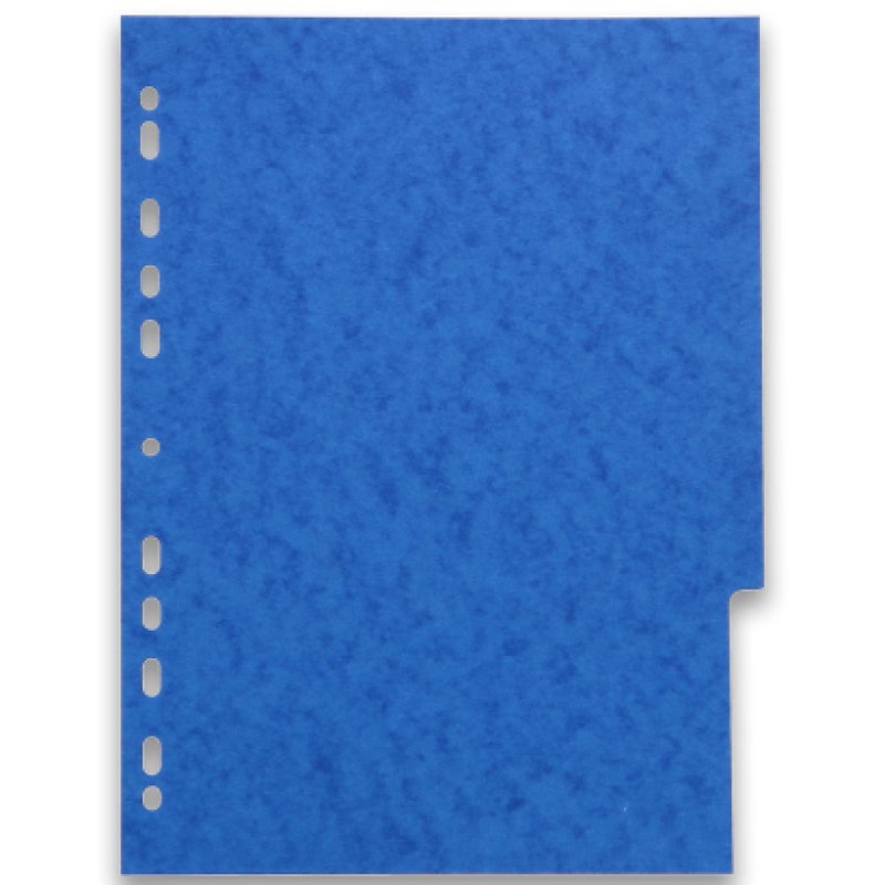 Oxford 100204950 intercalaire Carton Couleurs assorties 6 pièce(s)