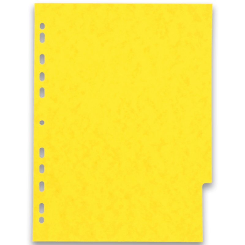 Oxford 100204950 divider Cardboard Assorted colours 6 pc(s)