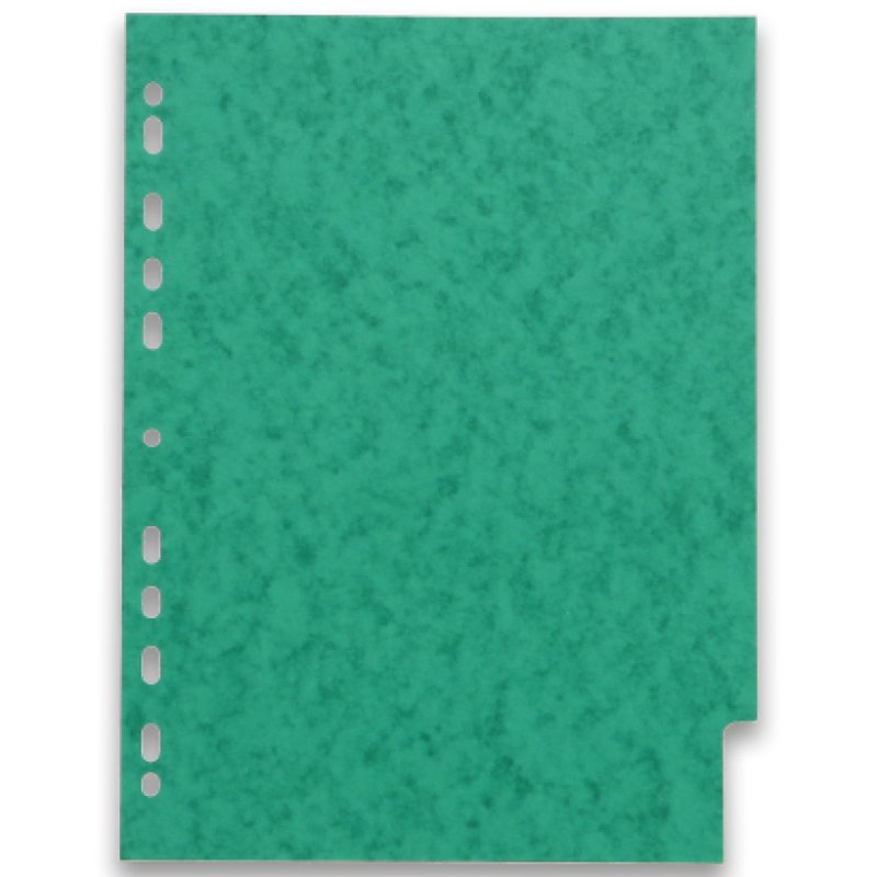 Oxford 100204950 divider Cardboard Assorted colours 6 pc(s)