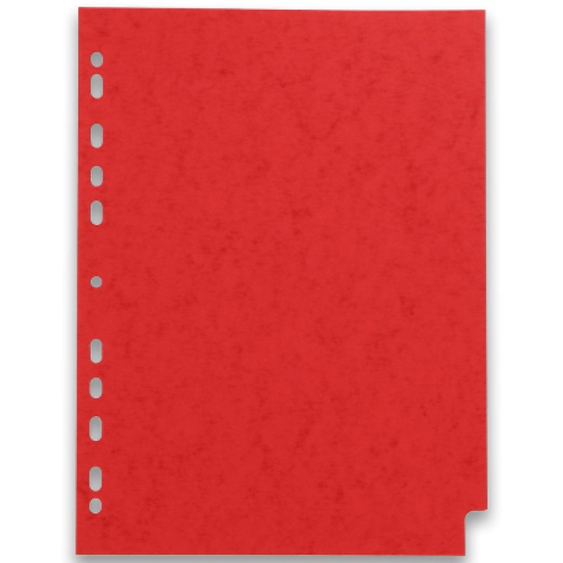 Oxford 100204950 intercalaire Carton Couleurs assorties 6 pièce(s)