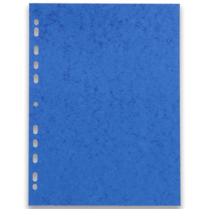 Oxford 100204950 intercalaire Carton Couleurs assorties 6 pièce(s)