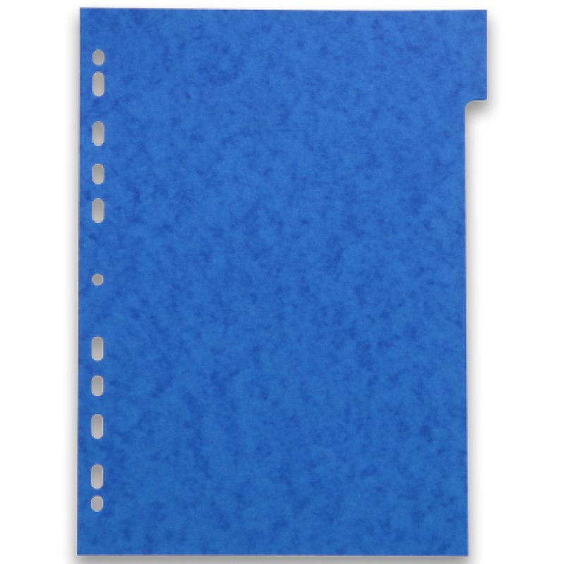 Oxford 100204950 divider Cardboard Assorted colours 6 pc(s)