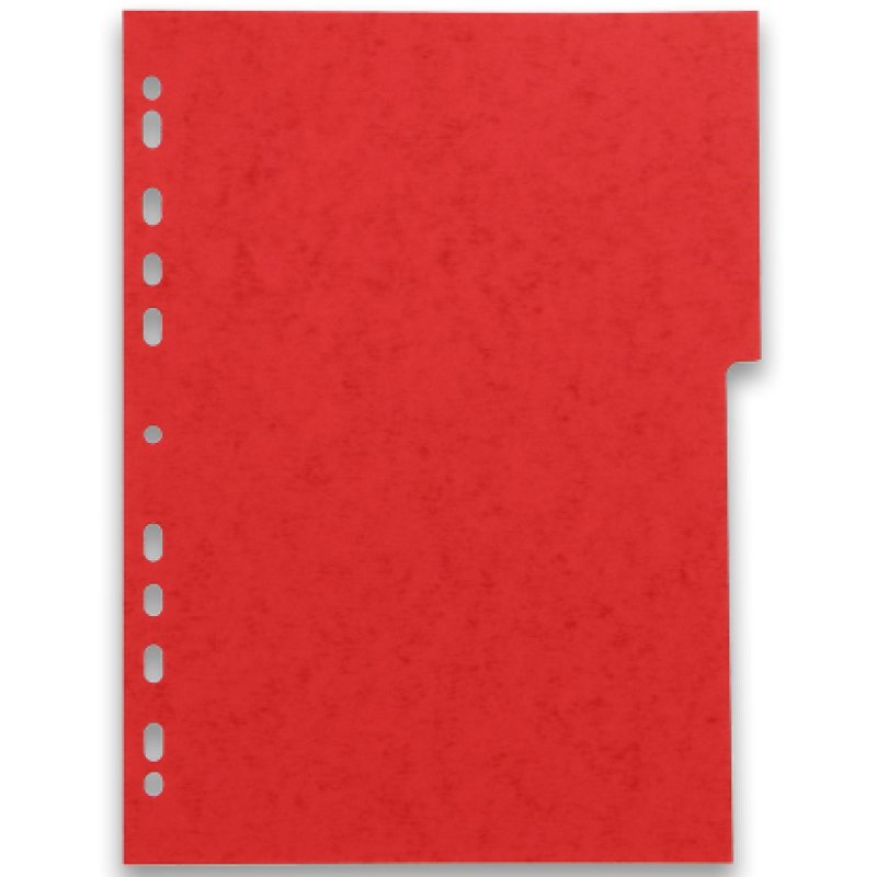 Oxford 100204950 intercalaire Carton Couleurs assorties 6 pièce(s)