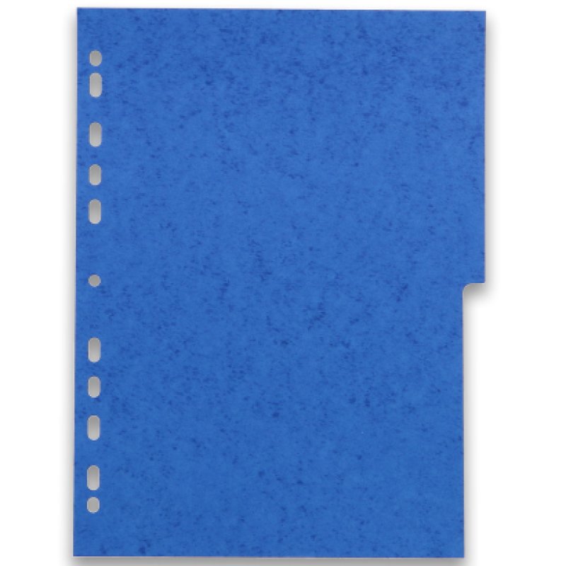 Oxford 100204950 intercalaire Carton Couleurs assorties 6 pièce(s)