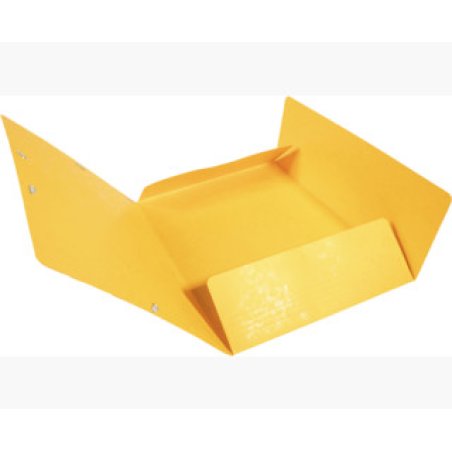 Exacompta 17106H folder Carton Yellow A4