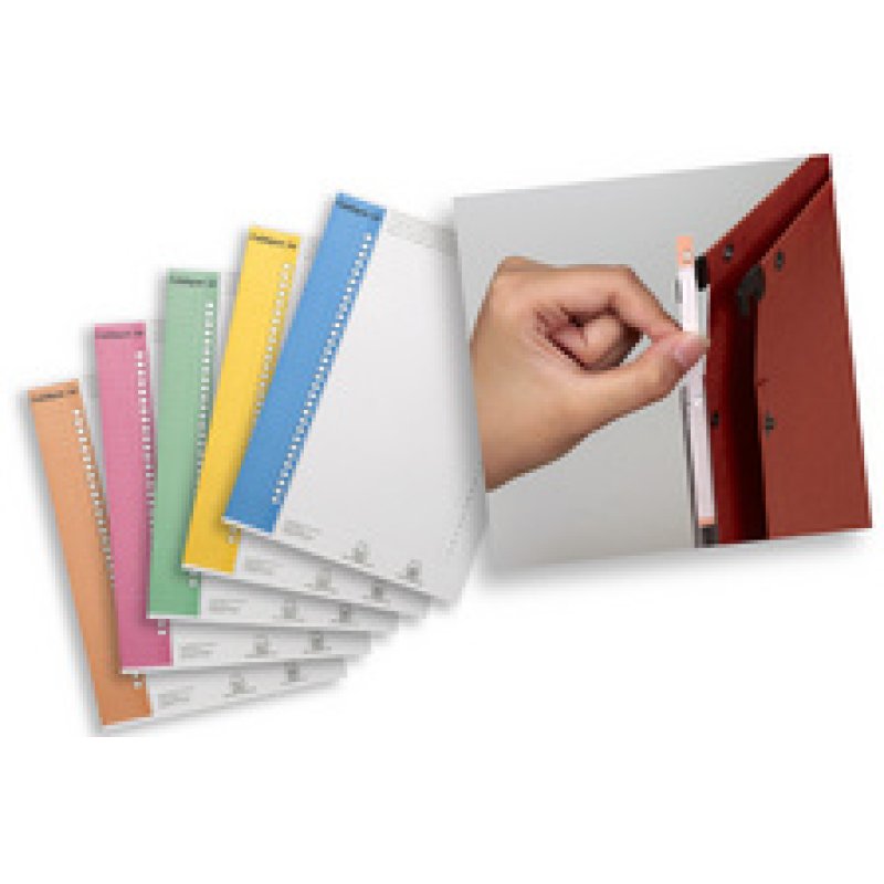 ELBA l'oblique Étiquettes pour dossiers suspendus, Nr. 9