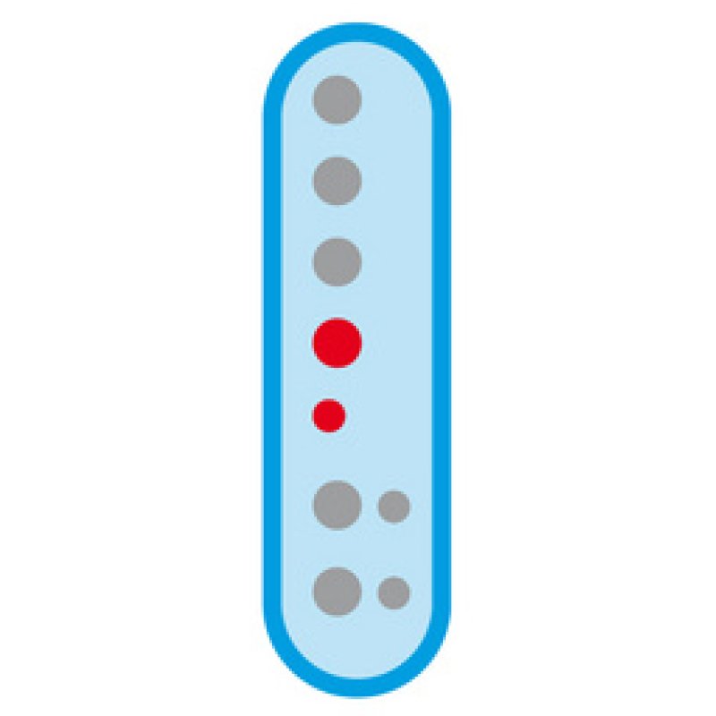 Maped Flûte en plastique, trous "Baroque", blanc