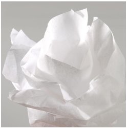 CANSON Papier de soie, 0,5 x 5,0 m, 20 g/m2, blanc