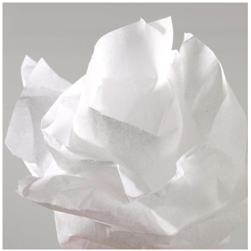Canson C200992659 papier crêpon Blanc