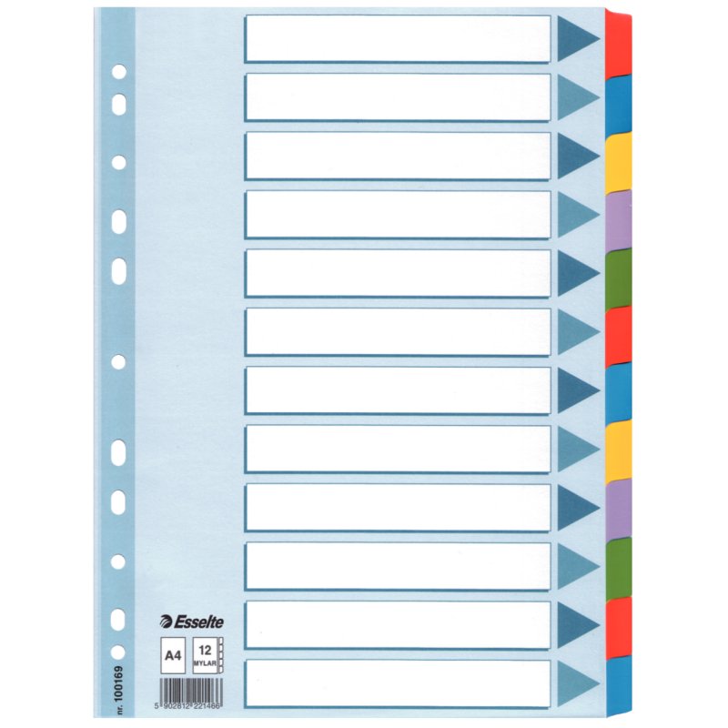 Esselte 100169 tab index Blank tab index Cardboard Multicolour