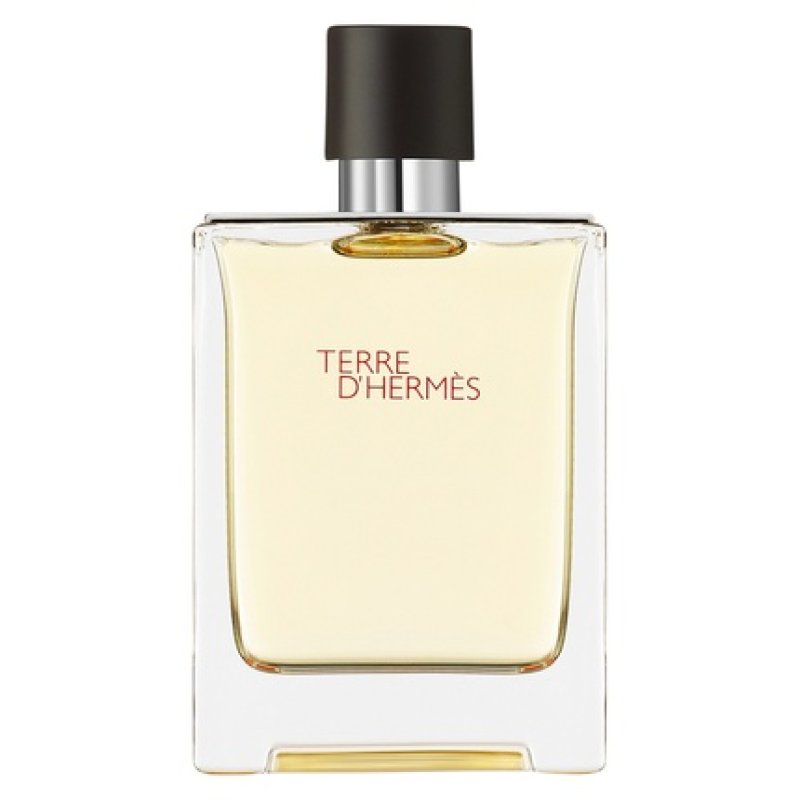 Hermes Terre D'Hermes Eau De Toilette Spray 100ml