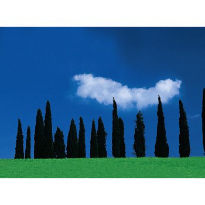 Hama Filtre polarisant circulaire, Traité, Noir, 67mm