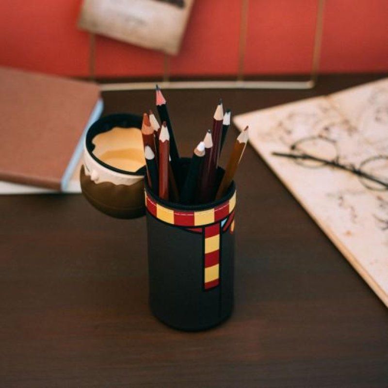 HARRY POTTER - Harry - Heady - Trousse Silicone 3D