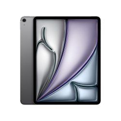 Apple iPad Air 5G Apple M TD-LTE & FDD-LTE 256 Go 33 cm (13") 8 Go Wi-Fi 6E (802.11ax) iPadOS 18 Gris