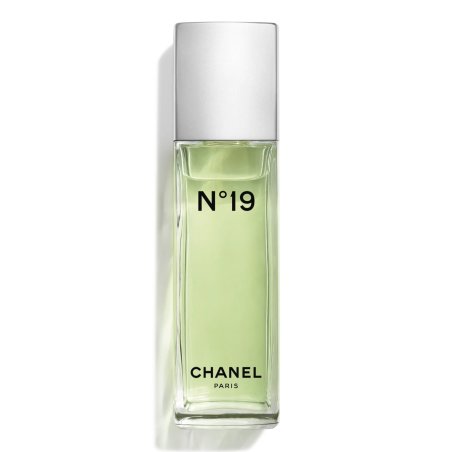 CHANEL Nº 19 EDT VAPO 100 ML