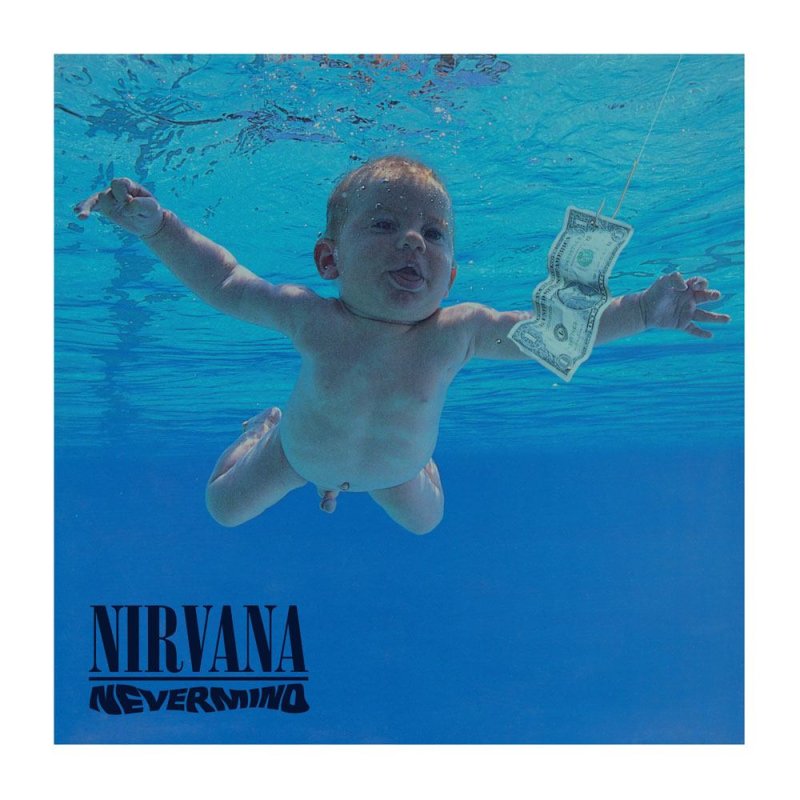 Nirvana Rock Saws puzzle Nevermind (500 pièces)