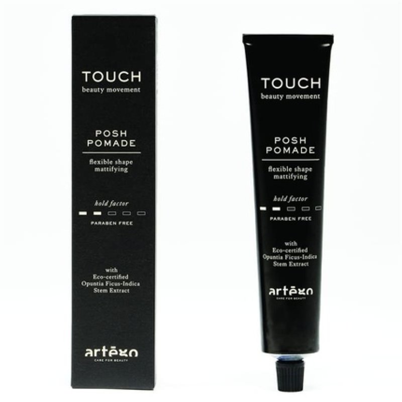 ARTEGO Touch Posh Pomade 100ml