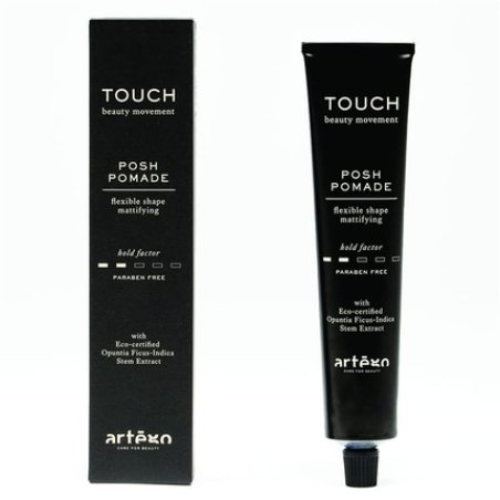 ARTEGO Touch Posh Pomade 100ml
