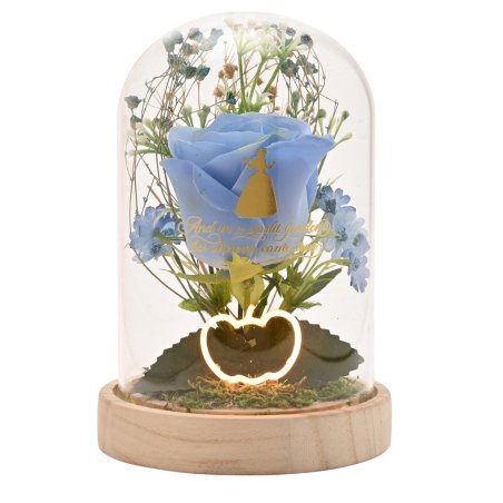 DISNEY PRINCESSES - Cendrillon - Cloche Florale avec Lumière Néon