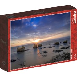 PUZZLE 500P LES 5 PINEAUX