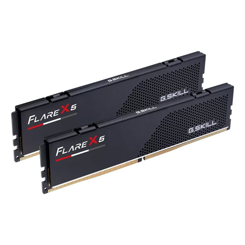 G.Skill Flare X5 F5-5200J4040A24GX2-FX5 module de mémoire 48 Go 2 x 24 Go DDR5 5200 MHz