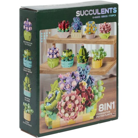 COFF SUCCULENTES 770 BRIQUES