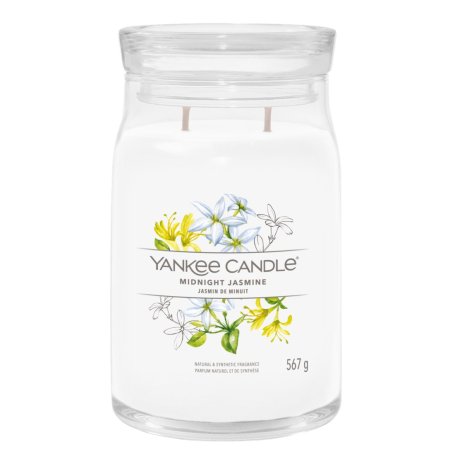 Yankee Candle Midnight Jasmine wax candle Cylinder Jasmine, Neroli White 1 pc(s)