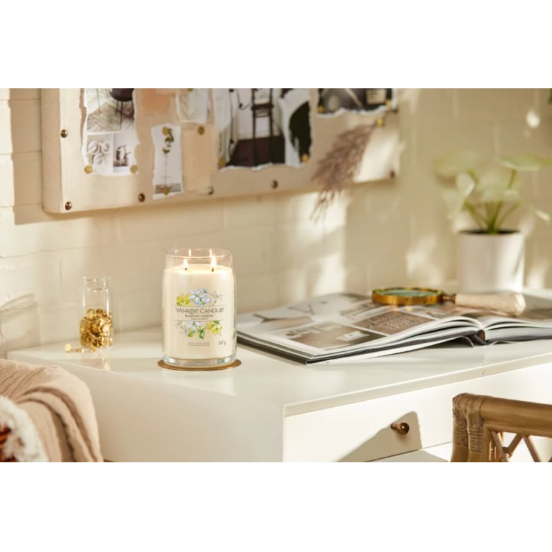 Yankee Candle Midnight Jasmine wax candle Cylinder Jasmine, Neroli White 1 pc(s)