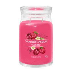Yankee Candle 1701375E bougie en cire Cylindre Framboise Pourpre 1 pièce(s)