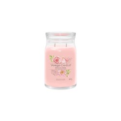 Yankee Candle Fresh Cut Roses wax candle Cylinder Floral Pink 1 pc(s)