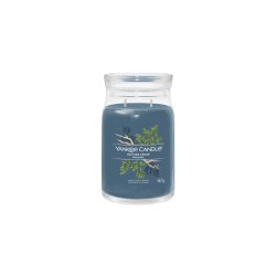 Yankee Candle Bayside Cedar bougie en cire Cylindre Fraicheur Bleu 1 pièce(s)