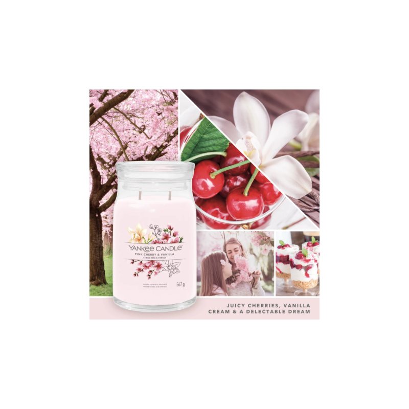 Yankee Candle Signature bougie en cire Cylindre Cerise (fruit), Vanille Rose 1 pièce(s)