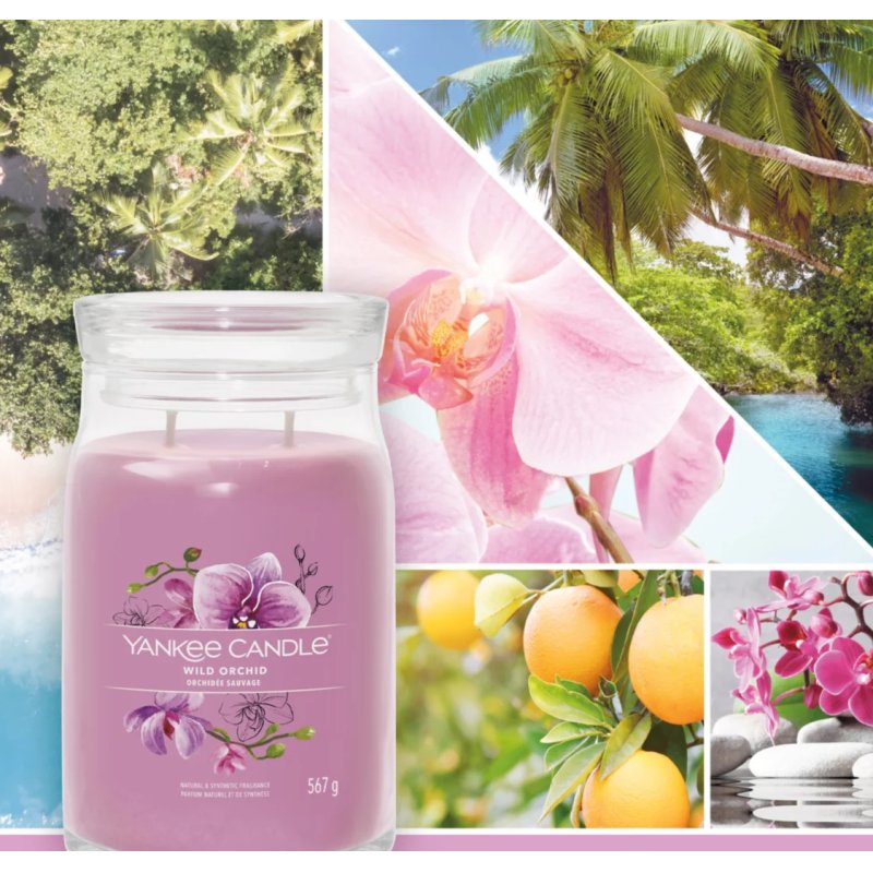 Yankee Candle Wild Orchid bougie en cire Cylindre Orchidée Violet 1 pièce(s)