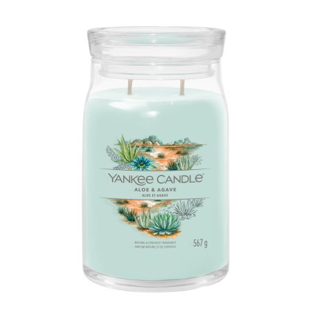 Yankee Candle Aloe & Agave bougie en cire Cylindre Aloé Bleu 1 pièce(s)