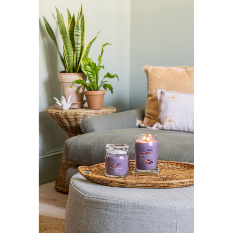 Yankee Candle Stargazing wax candle Cylinder Purple 1 pc(s)