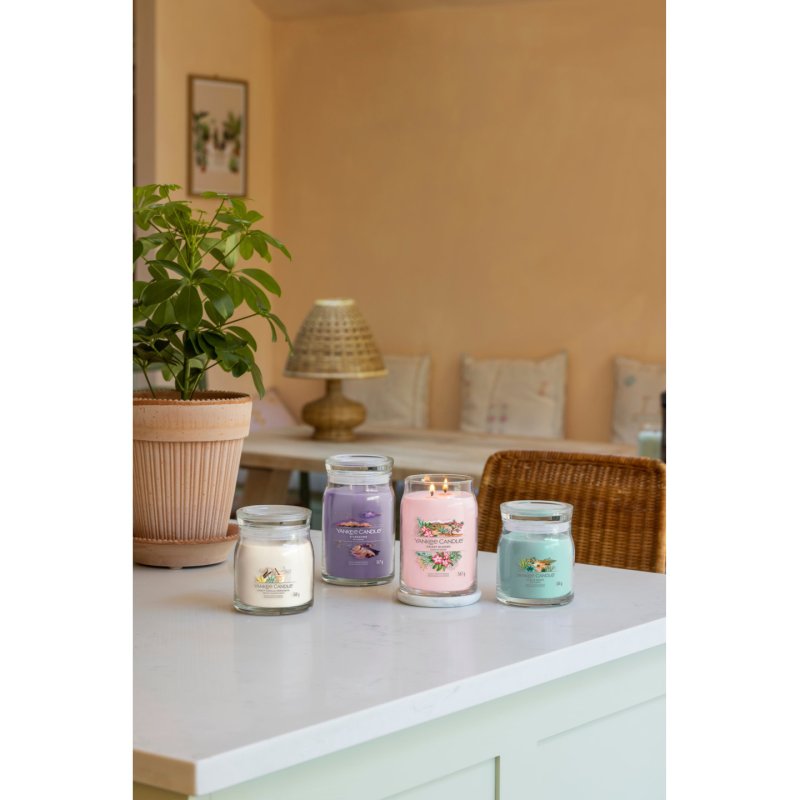 Yankee Candle Stargazing Large Jar