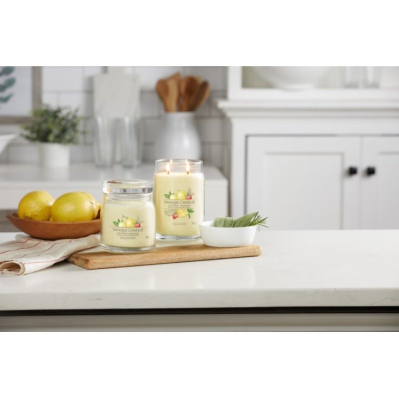 Yankee Candle Iced Berry Lemonade bougie en cire Rond Pamplemousse, Citron, Malt, Mandarin, Ananas, Pomelo, Framboise,