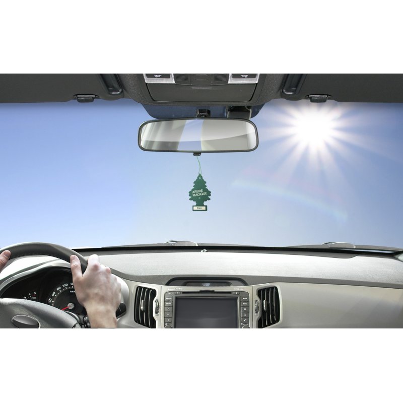 ARBRE MAGIQUE 8001365055003 air care Car Paper