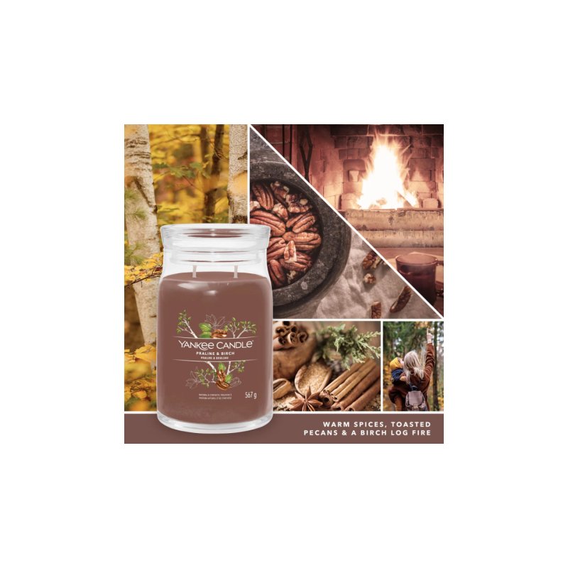 Yankee Candle Signature wax candle Cylinder Birch wood Brown 1 pc(s)