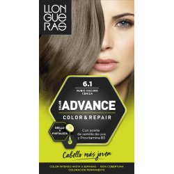 Llongueras Color Advance 6.1 Dark Ash Blonde