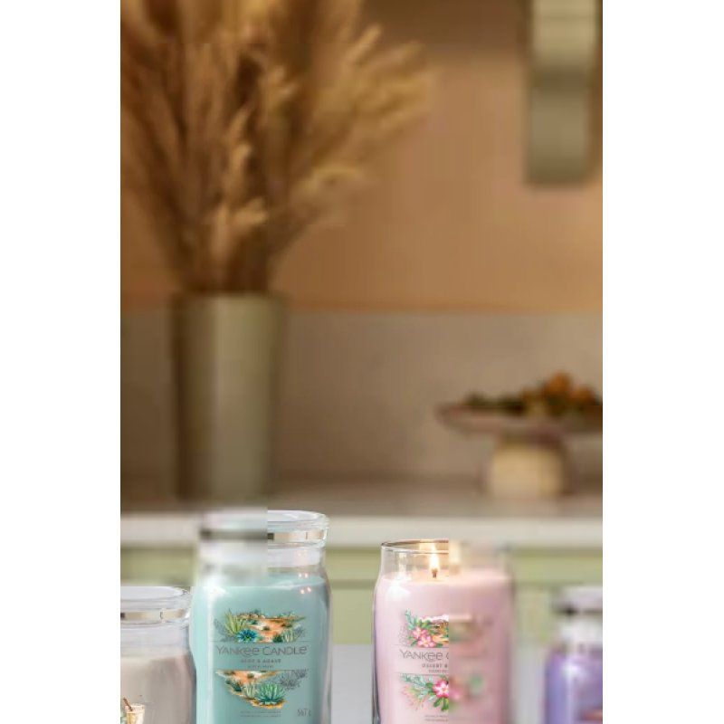 Yankee Candle Sweet Vanilla Horchata bougie en cire Cylindre Neutre 1 pièce(s)