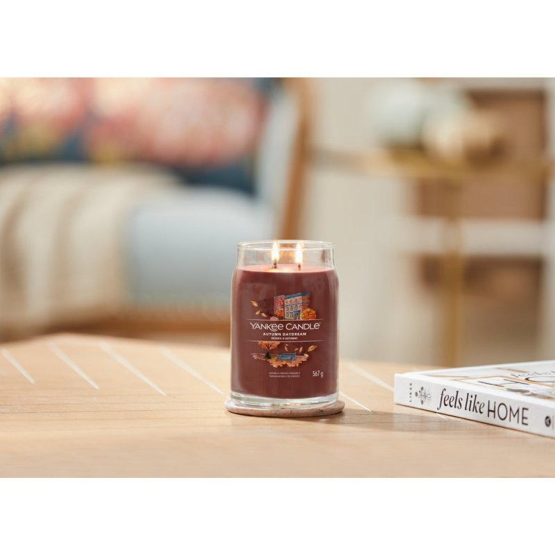 Yankee Candle 1743378E bougie en cire Rond Rouge 1 pièce(s)