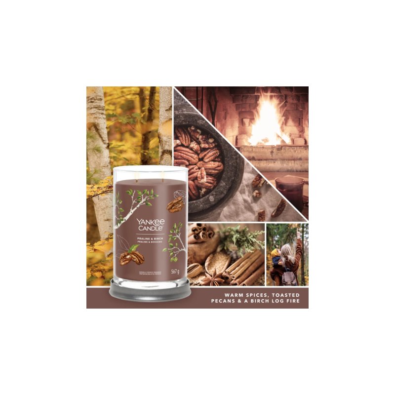 Yankee Candle Signature wax candle Cylinder Birch wood Brown 1 pc(s)