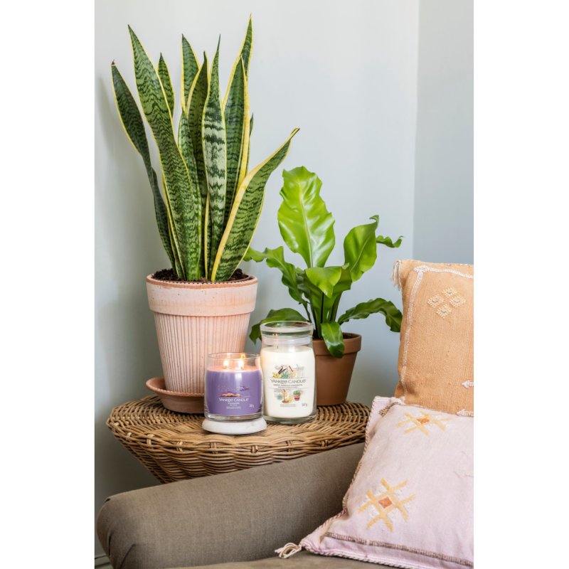 Yankee Candle Sweet Vanilla Horchata Large Jar