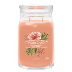 Yankee Candle Tropical Breeze bougie en cire Cylindre Goyave, Menthe Orange 1 pièce(s)