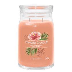 Yankee Candle Tropical Breeze wax candle Cylinder Guava, Mint Orange 1 pc(s)