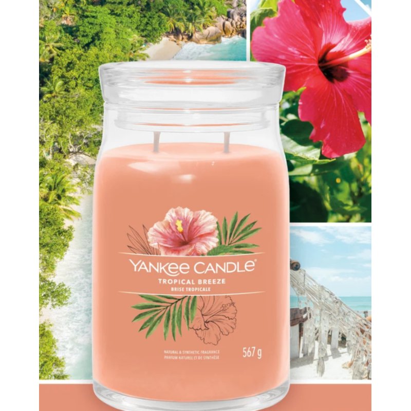 Yankee Candle Tropical Breeze bougie en cire Cylindre Goyave, Menthe Orange 1 pièce(s)