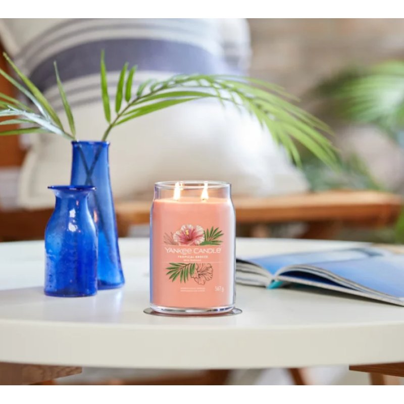 Yankee Candle Tropical Breeze bougie en cire Cylindre Goyave, Menthe Orange 1 pièce(s)